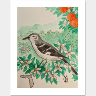 Florida state bird and flower, the mockingbird and orange blossom Posters and Art